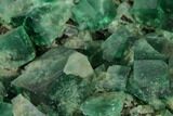 Fluorite Crystal Cluster - Rogerley Mine #143059-1
